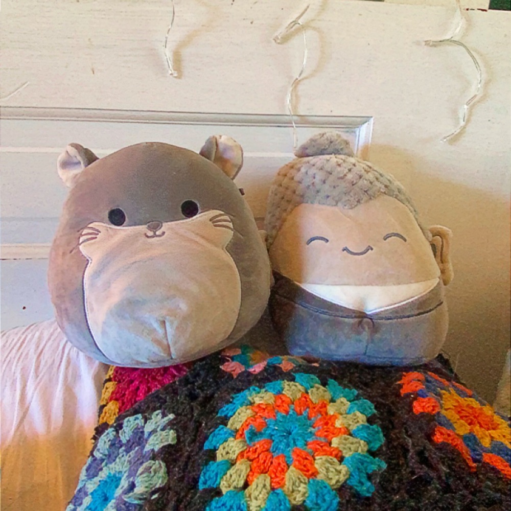 2 squishmallows